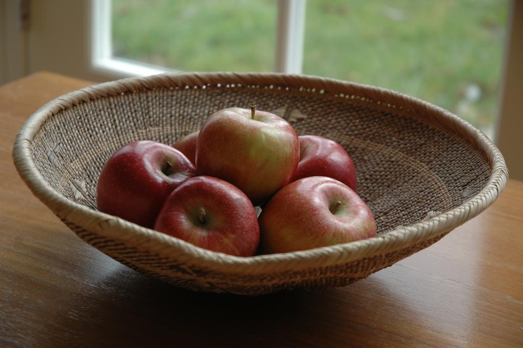 Field Cottage Bed And Continental Breakfast East Harling Eksteriør billede